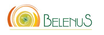 Project Logo BELENUS 2