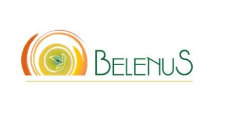 Project Logo BELENUS 1