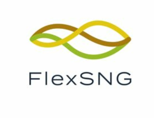 Horizon 2020 Project FlexSNG – Flexible Production of Synthetic Natural Gas and Biochar