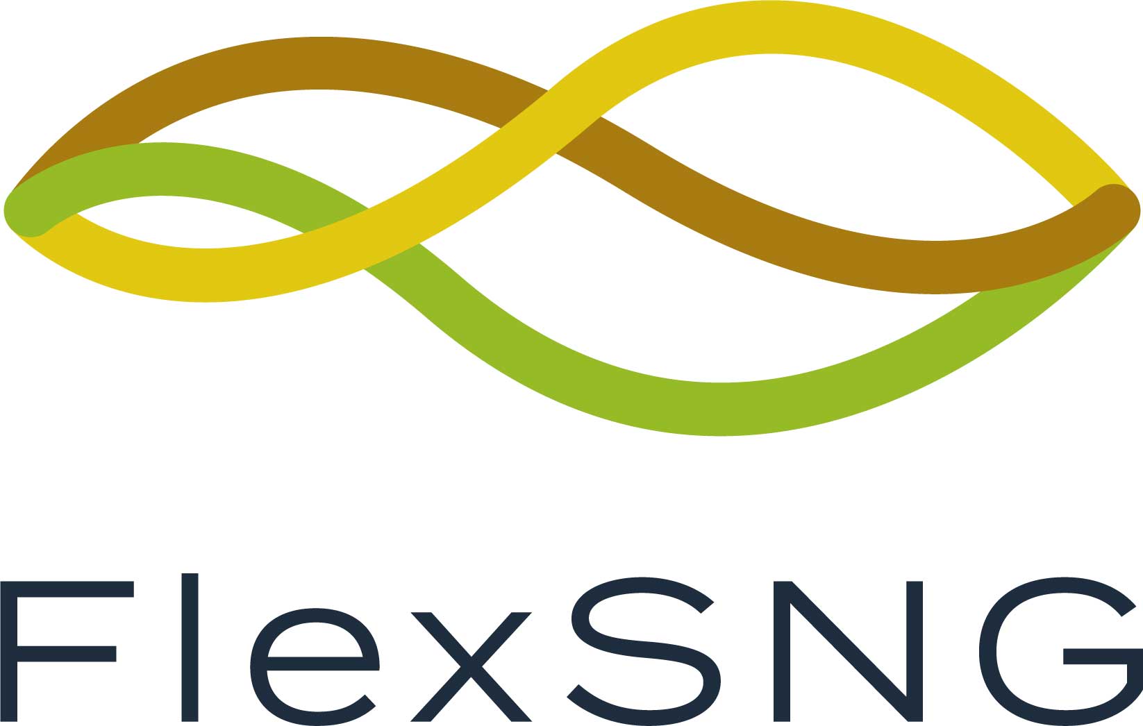 FlexSNG Logo