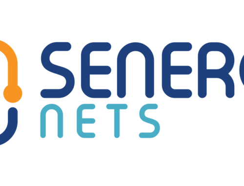 SENERGY NETS: The new EU project aims to increase the synergy among different energy networks